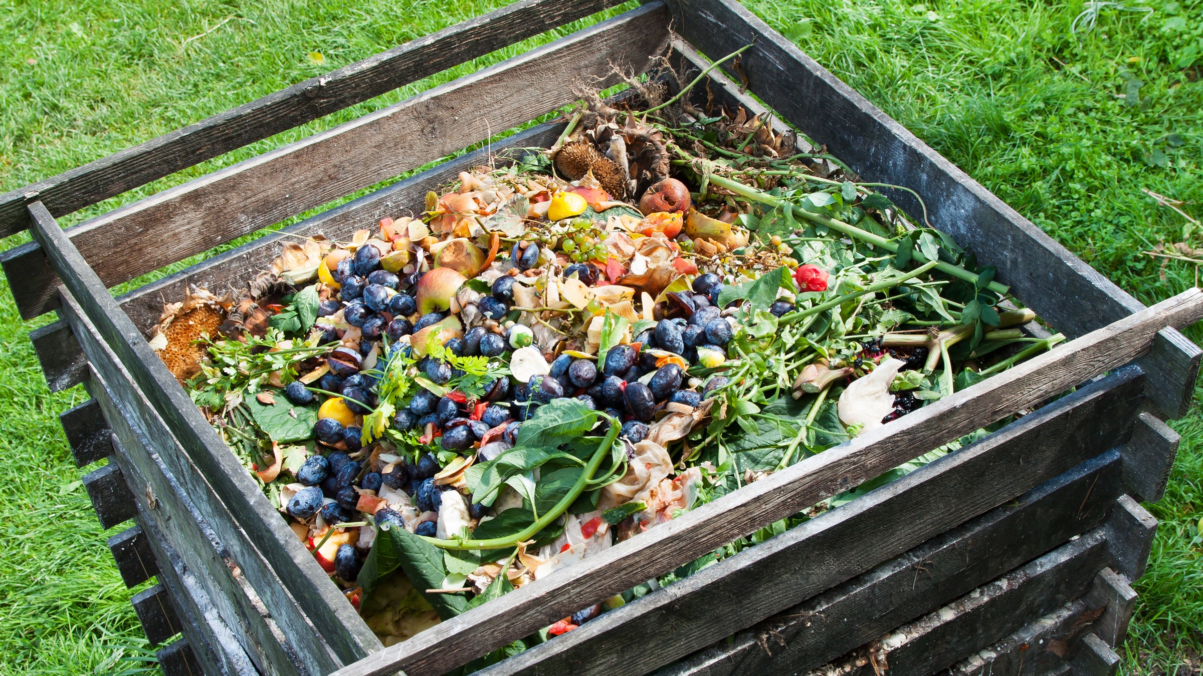 Garden Conversations; Composting